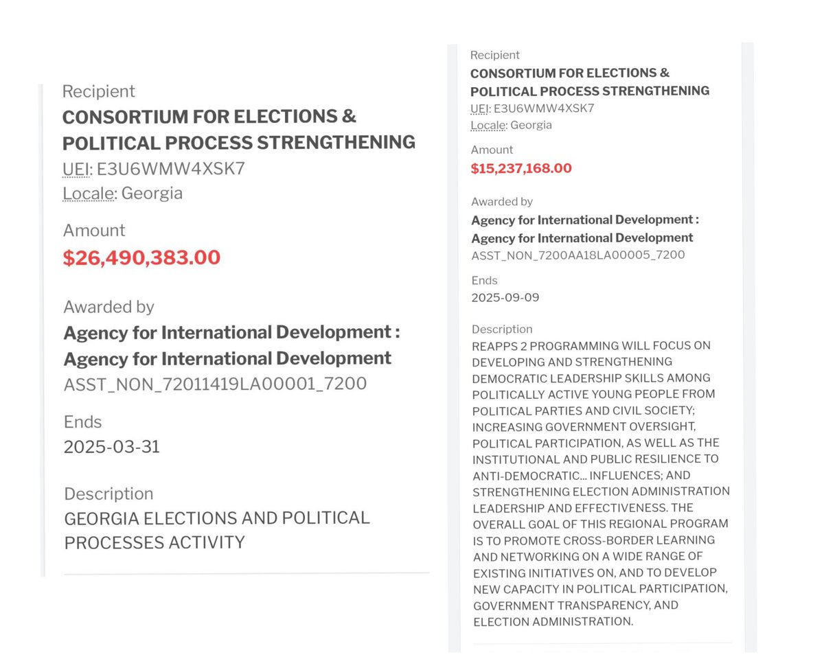 Presidente del parlamento de Georgia: a través de ONGs USAID gastó 41,7 millones de dólares en las elecciones de Georgia